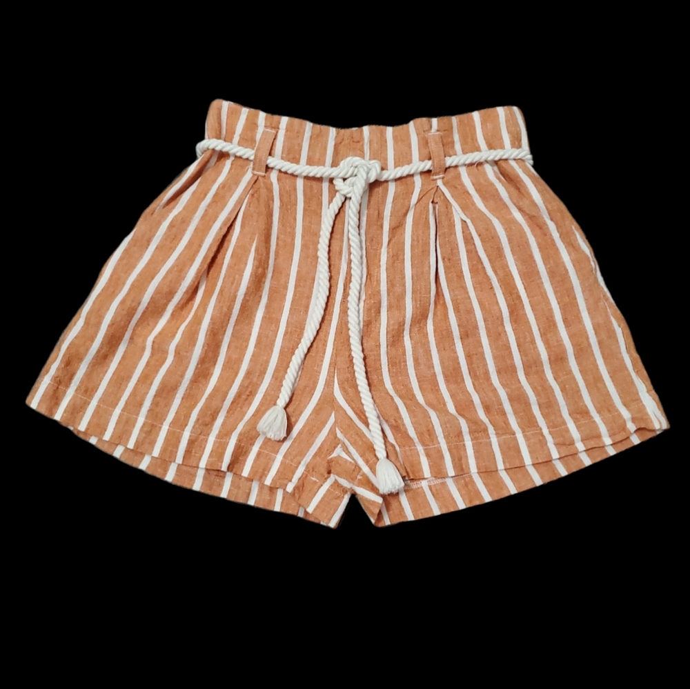 Forever 21 Linen Blend Striped Shorts - Picture 3 of 9